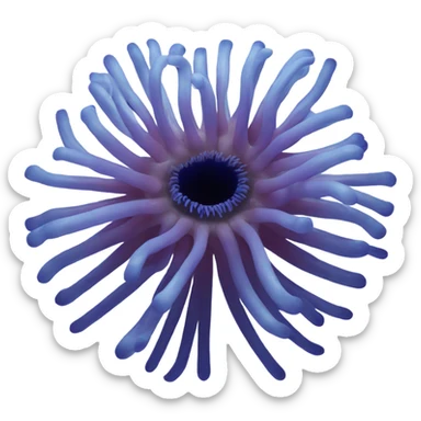 A blue sea anemone  sticker