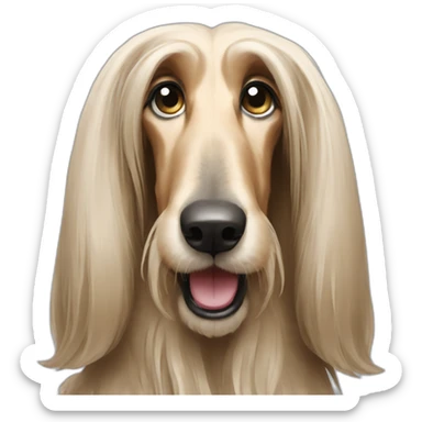 Afghan hound sticker