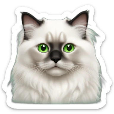 white himalayan ragdoll green eyes sticker