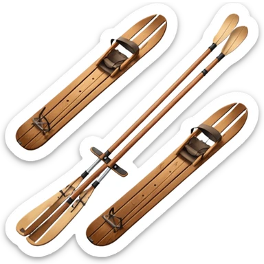 skis et raquettes sticker