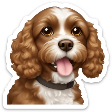brown cavapoo with white spot around the nose and on the chest, with brown eyes on sticker