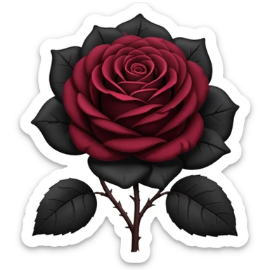black rose, without green leaves, just flower sticker