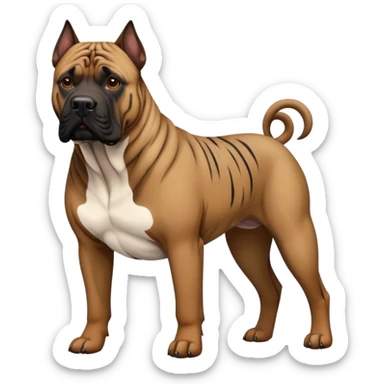 Presa Canario dog sticker