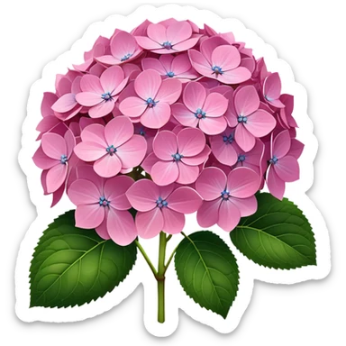 ultra realistic pink hydrangea no leaf sticker