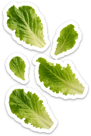 foglie di insalata fluttuano in aria, iperrealistico, non disegnato sticker