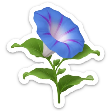 Morning glory flower  sticker