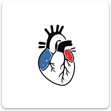 A hand-drawn anatomical heart with detailed chambers and arteries in medical diagram style, showing blue veins and red arteries, with clear internal structure, oxygenated blood in red and deoxygenated blood in blue sticker