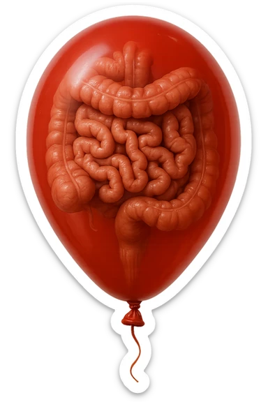 intestino umano anatomico chiuso in un palloncino rosso, iperrealistico 4k sticker
