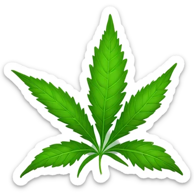 Hemp 420 plant leaf growing  sticker