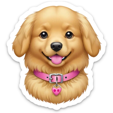 golden retriever wearing pink dog collar sticker