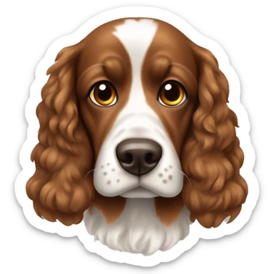 Cocker brown sticker