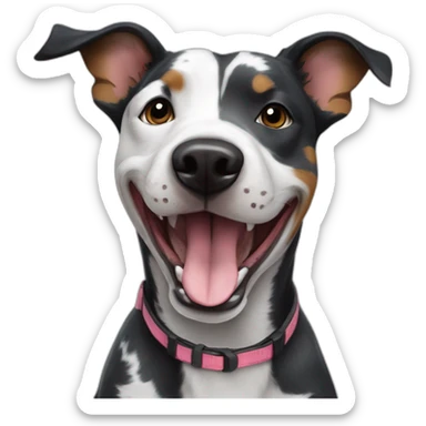 Black and white Australian cattle dog pitbull mix who is really excited you came home sticker