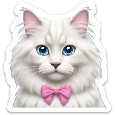white fluffy ragdoll cat with big blue eyes and a pink bow on its right ear sticker