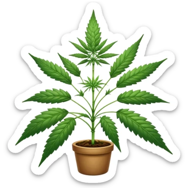 Cannabis sticker
