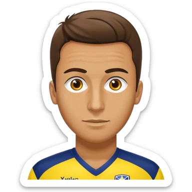 Fenerbahçe sk sticker