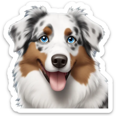 Australian Shepherd blue eyes  sticker