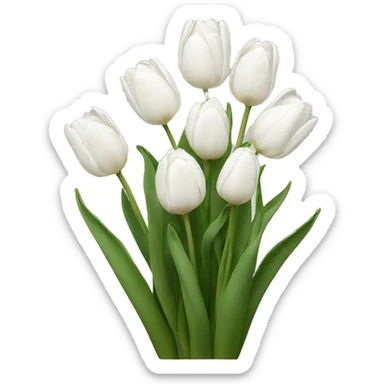 white tulips  sticker