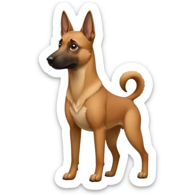 Chien malinois sticker