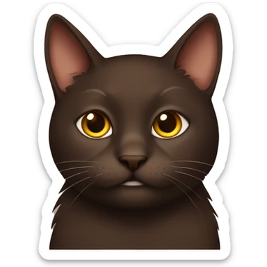 Dark Brown cat with a Brownie sticker
