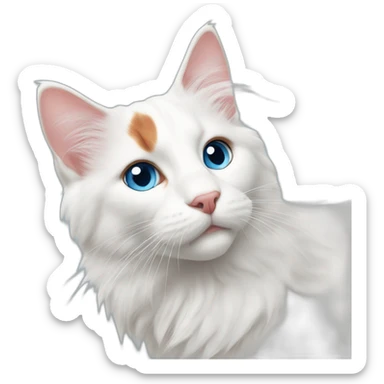 Fluffy cat turkish van blue eyes sticker