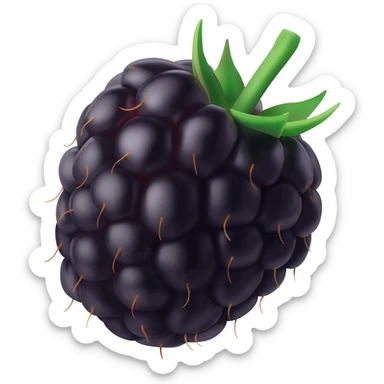Blackberry sticker