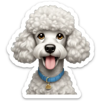 Poodle dog masculine  sticker