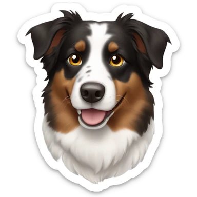 black brown and white australian shepherd dog sticker