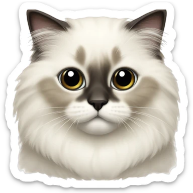 Fluffy holy birman kitten sticker