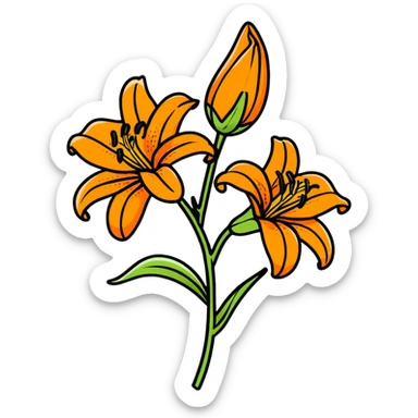 colorful tiger lily flower sticker