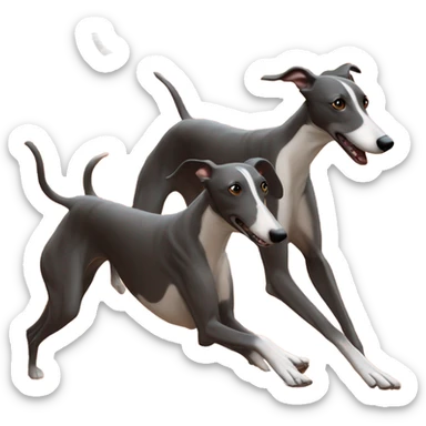 greyhound racing sticker