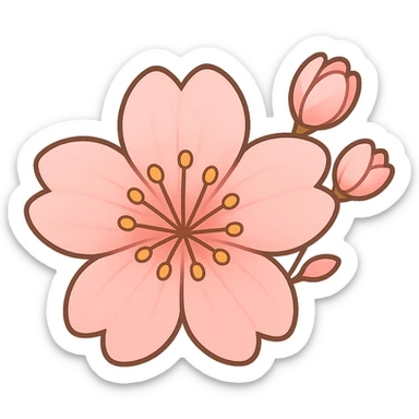 sakura cherry blossom flower, remove background sticker