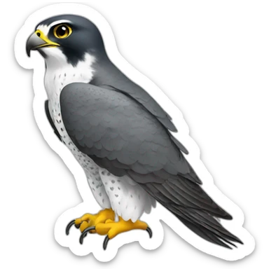 Peregrine falcon working on excel sticker