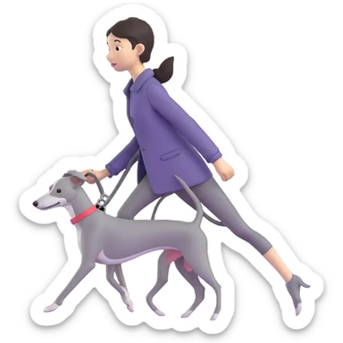 Beautiful Asian girl walking a completely solid grey Italian greyhound with a grey nose, no white markings anywhere, no white on the nose, pure grey dog sticker