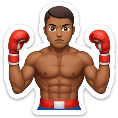 Gypsy BOXER sticker