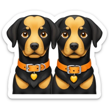 2 black labradors yellow and orange dog collar sticker