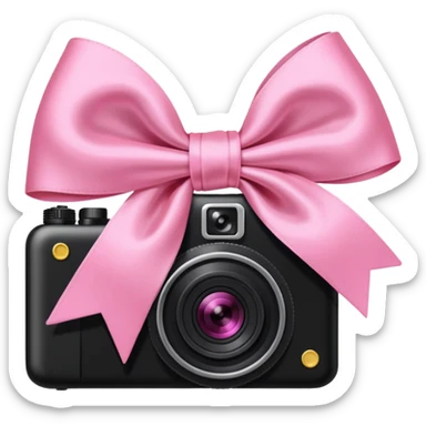 pink bow and camera sticker