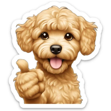 golden maltipoo hand - thumb up sticker