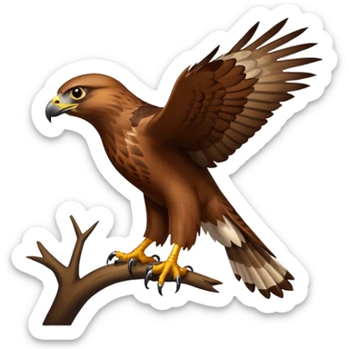 Hawk sticker