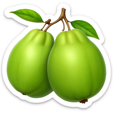 A whole green guava fruit with slight yellow tint sticker