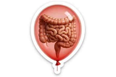 intestino umano anatomico chiuso in un palloncino rosso, iperrealistico 4k sticker