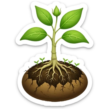 A seed germinating with a sprout sticking out of it  sticker