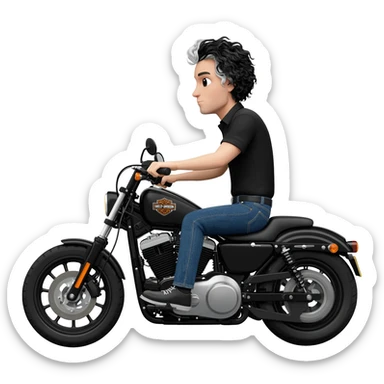 White guy with wavy black and white hair riding Harley Davidson in jeans and black shirt sticker