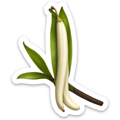 Harvested vanilla beans sticker