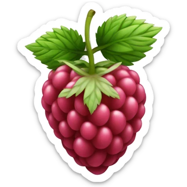 Raspberry sticker