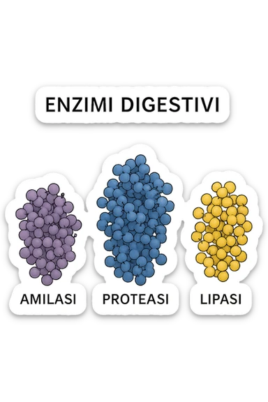 enzimi digestivi sticker