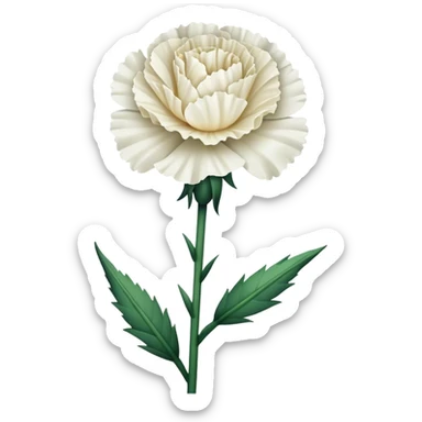 single Carnation stem flowers sticker