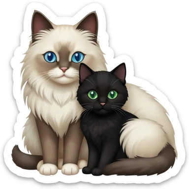 One ragdoll cat and one black cat hugging  sticker