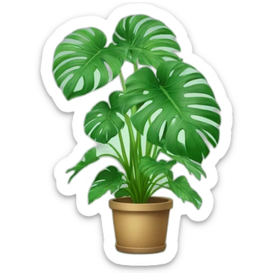Plante monstera sticker
