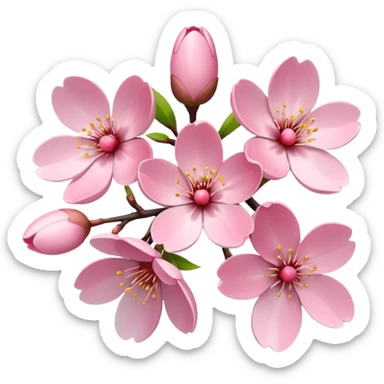 CHERRY BLOSSOM’ sticker