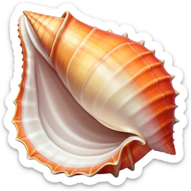 Conch  sticker